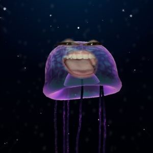 Meet your Posher, Dulce